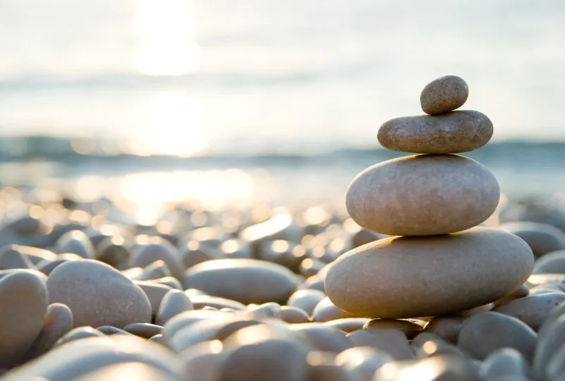 MDTs in Complex Care explores how collaboration, clear roles & communication strengthen coordinated support for clients with complex needs.